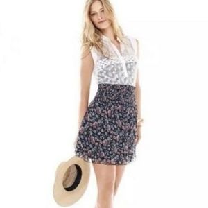 CAbi Blue Floral Flirt Skirt Medium